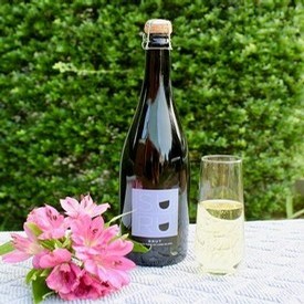 Suhru Wines NV Brut is our Wine of the Week
